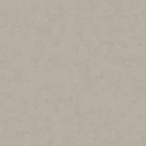 2979517003